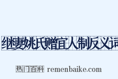 继妻姚氏赠宜人制反义词是什么意思的图片